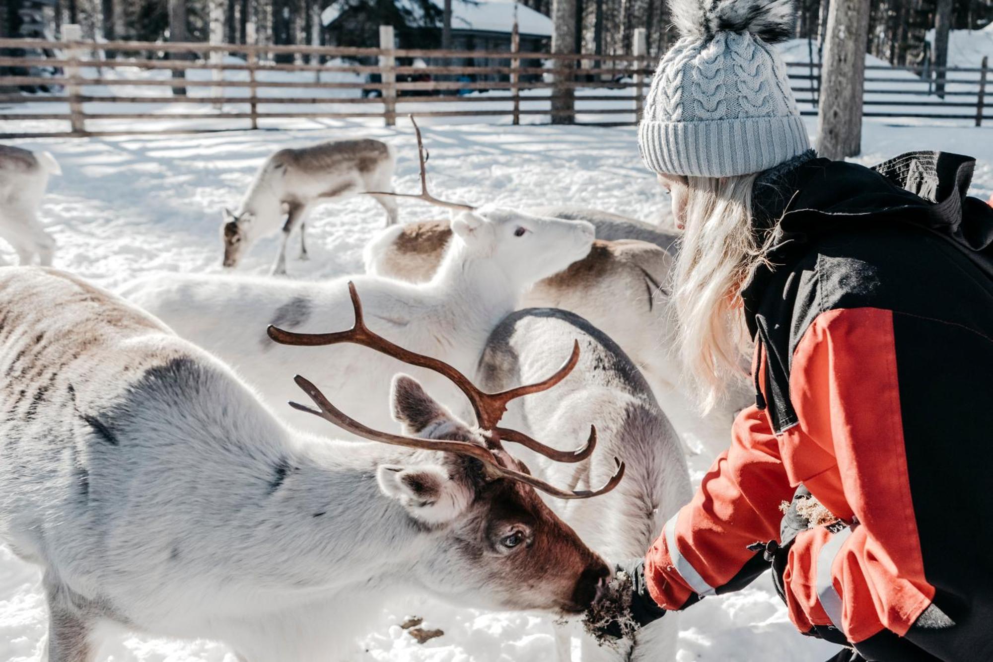 Hotel Lapland Hetta Enontekio